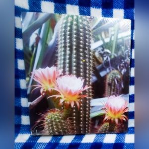 Cactus Canvas Print